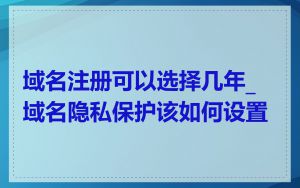 域名注册可以选择几年_域名隐私保护该如何设置