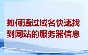 如何通过域名快速找到网站的服务器信息