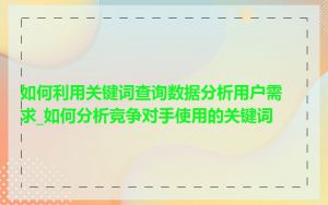 如何利用关键词查询数据分析用户需求_如何分析竞争对手使用的关键词