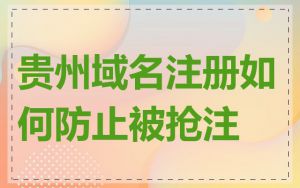 贵州域名注册如何防止被抢注