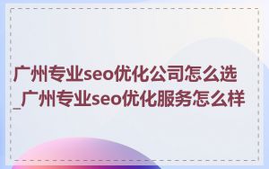 广州专业seo优化公司怎么选_广州专业seo优化服务怎么样