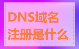 DNS域名注册是什么