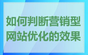 如何判断营销型网站优化的效果