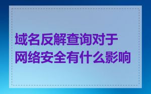 域名反解查询对于网络安全有什么影响