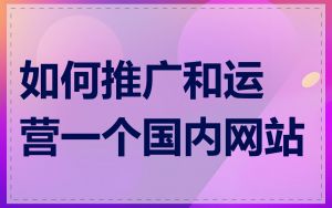 如何推广和运营一个国内网站