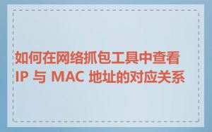 如何在网络抓包工具中查看 IP 与 MAC 地址的对应关系