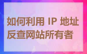 如何利用 IP 地址反查网站所有者