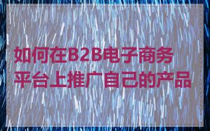 如何在B2B电子商务平台上推广自己的产品