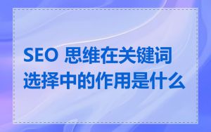 SEO 思维在关键词选择中的作用是什么