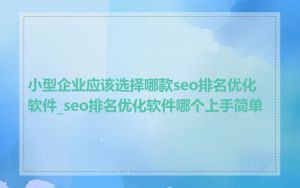 小型企业应该选择哪款seo排名优化软件_seo排名优化软件哪个上手简单