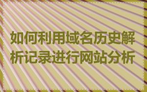 如何利用域名历史解析记录进行网站分析