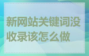 新网站关键词没收录该怎么做