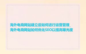 海外电商网站建立后如何进行运营管理_海外电商网站如何优化SEO以提高曝光度