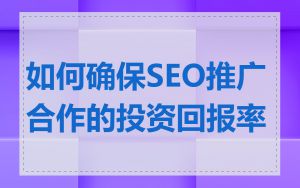 如何确保SEO推广合作的投资回报率