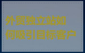 外贸独立站如何吸引目标客户