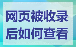 网页被收录后如何查看