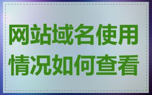 网站域名使用情况如何查看