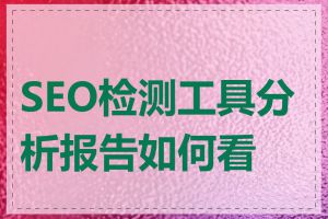 SEO检测工具分析报告如何看懂