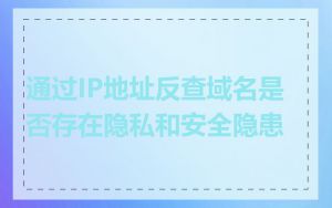 通过IP地址反查域名是否存在隐私和安全隐患