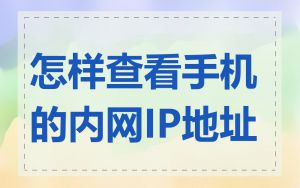 怎样查看手机的内网IP地址