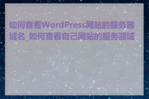 如何查看WordPress网站的服务器域名_如何查看自己网站的服务器域名