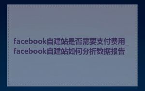 facebook自建站是否需要支付费用_facebook自建站如何分析数据报告