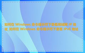 如何在 Windows 命令提示符下查看局域网 IP 地址_如何在 Windows 命令提示符下查看 IPv6 地址