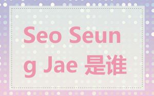 Seo Seung Jae 是谁