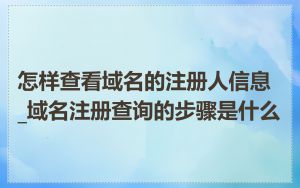 怎样查看域名的注册人信息_域名注册查询的步骤是什么