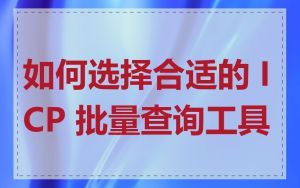 如何选择合适的 ICP 批量查询工具