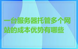 一台服务器托管多个网站的成本优势有哪些