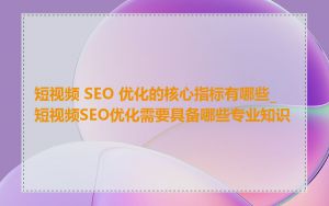 短视频 SEO 优化的核心指标有哪些_短视频SEO优化需要具备哪些专业知识