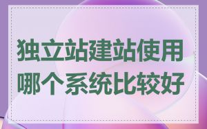 独立站建站使用哪个系统比较好