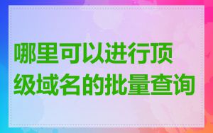 哪里可以进行顶级域名的批量查询