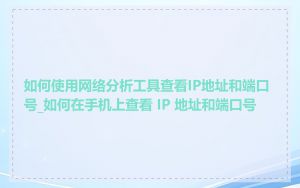 如何使用网络分析工具查看IP地址和端口号_如何在手机上查看 IP 地址和端口号