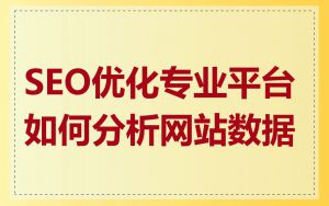 SEO优化专业平台如何分析网站数据