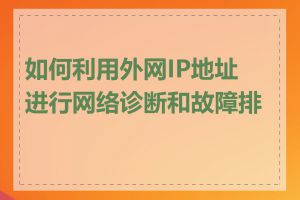 如何利用外网IP地址进行网络诊断和故障排查