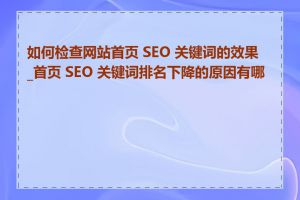 如何检查网站首页 SEO 关键词的效果_首页 SEO 关键词排名下降的原因有哪些