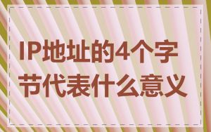 IP地址的4个字节代表什么意义