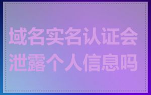 域名实名认证会泄露个人信息吗