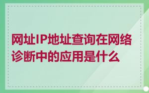 网址IP地址查询在网络诊断中的应用是什么