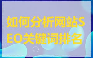 如何分析网站SEO关键词排名