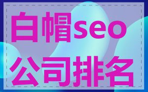 白帽seo公司排名