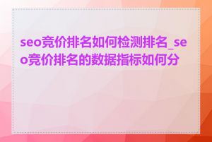 seo竞价排名如何检测排名_seo竞价排名的数据指标如何分析