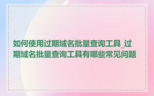 如何使用过期域名批量查询工具_过期域名批量查询工具有哪些常见问题