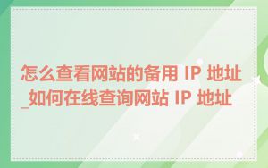 怎么查看网站的备用 IP 地址_如何在线查询网站 IP 地址