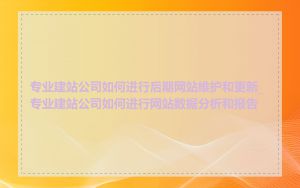 专业建站公司如何进行后期网站维护和更新_专业建站公司如何进行网站数据分析和报告