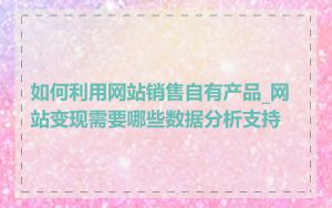 如何利用网站销售自有产品_网站变现需要哪些数据分析支持