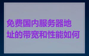 免费国内服务器地址的带宽和性能如何