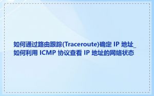 如何通过路由跟踪(Traceroute)确定 IP 地址_如何利用 ICMP 协议查看 IP 地址的网络状态